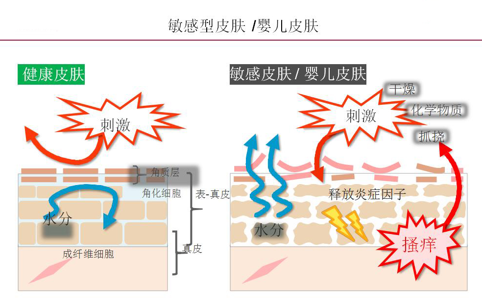 第三种:海藻糖.jpg 第三种:海藻糖.jpg