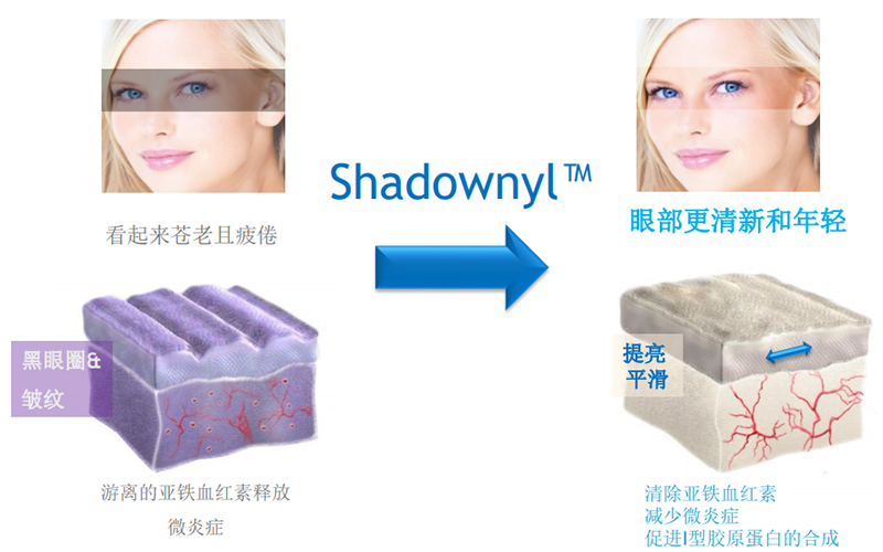 2.1.png 2.1.png
