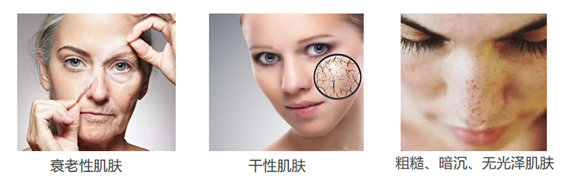 3.1.png 3.1.png