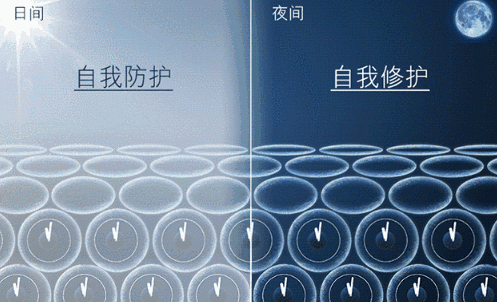 8.gif 8.gif
