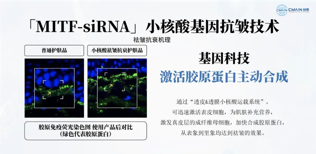 8.png 8.png