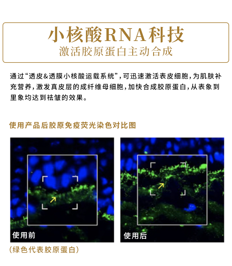 核酸密集祛黄精华_03.jpg